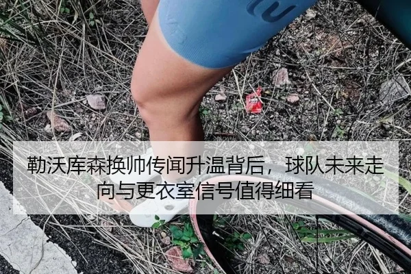 勒沃库森换帅传闻升温背后，球队未来走向与更衣室信号值得细看